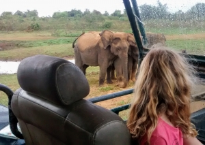 Safari in Sri Lanka