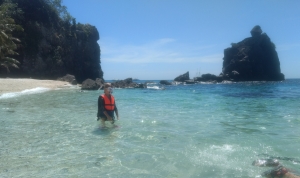 zwemmen het Apo eiland