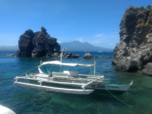 zwemmen het Apo eiland