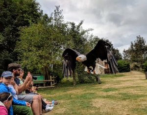 Vogelshow Frankrijk Zien en doen in de pyreneeën