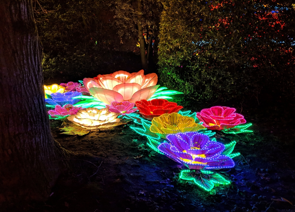 China light festival Antwerp