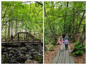 Söderåsen natuurgebied Söderåsen natuurpark