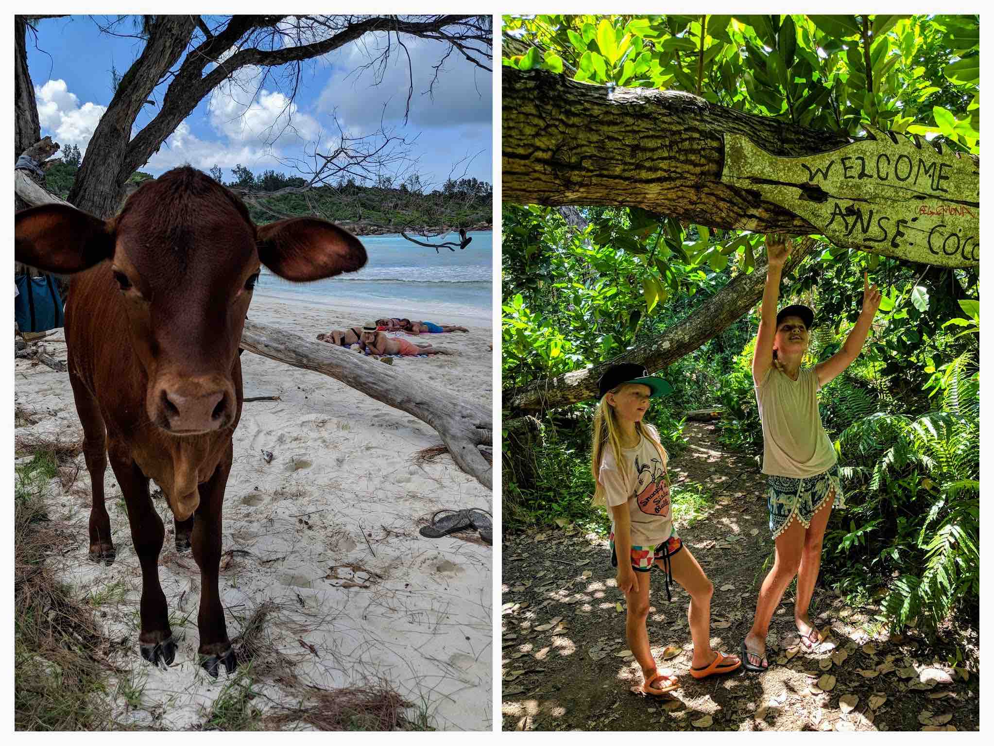 Anse Coco La Digue Anse Coco hiking