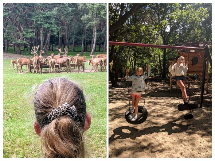 Wildpark in Germany Dieren Duitsland