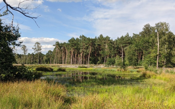 Duitslands mooiste wandelroute Galgevenn