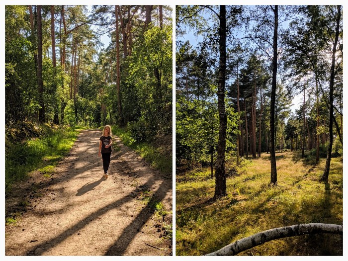 Natuurpark Schwalm Nette Wandelen in Noordrijn Westfalen
