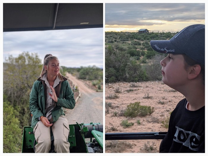 Meerkats safari South Africa stokstaartjes Meerkat safari