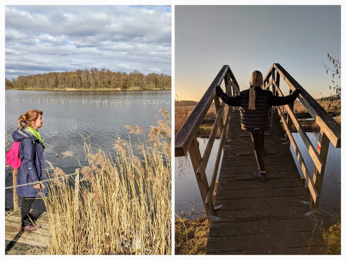Natuurgebied Vinkeveense plassen