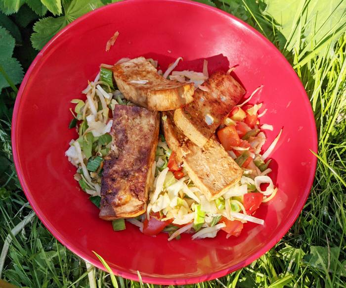 Vegan lunch camping