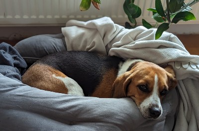 Bespaar 500 euro gas en stroom tips