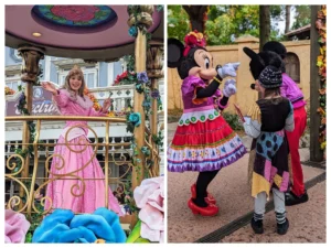 Disneyland wat zien