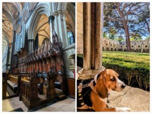 Salisbury kathedraal Potter locatie