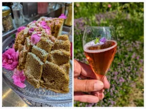 Culinaire regio Saimameer