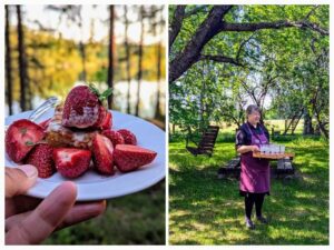 Wildplukken en koken Zuid-Finland Eten drinken wildplukken in Finland