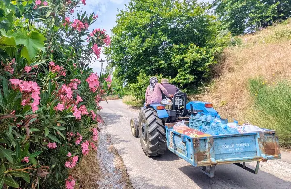 Regio Izmir groenten en fruit Verse producten Turkije