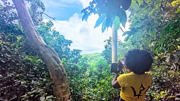 Natuurparken Barbados