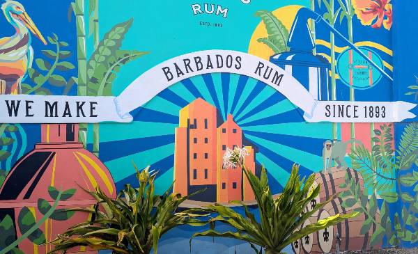 Rum tastings Barbados Rum proeven Barbados