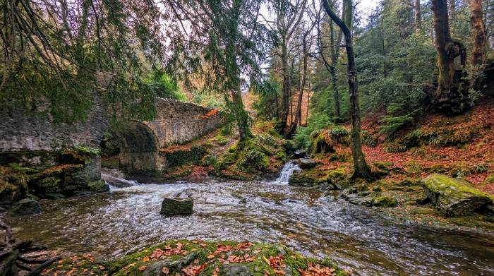 Natuurparken Ierland films